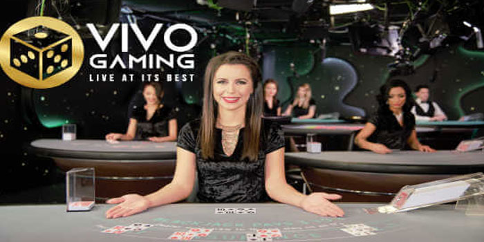 PAJEROTOTO Main Roulette di Vivo Gaming, Nikmati Meja Profesional